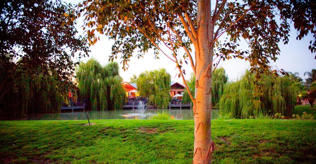 Hotel Perricoota Vines Retreat Moama Exteriér fotografie