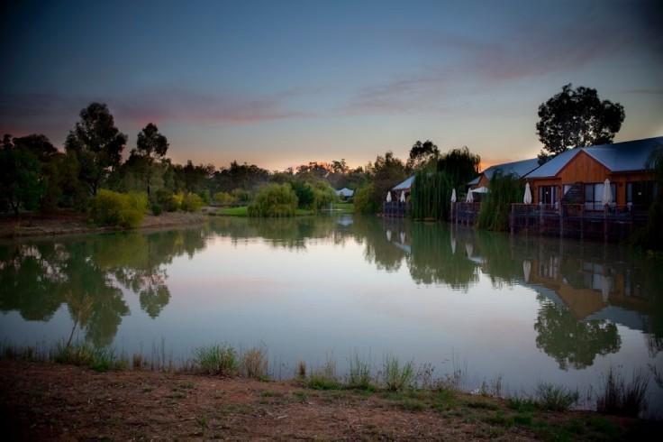 Hotel Perricoota Vines Retreat Moama Pokoj fotografie