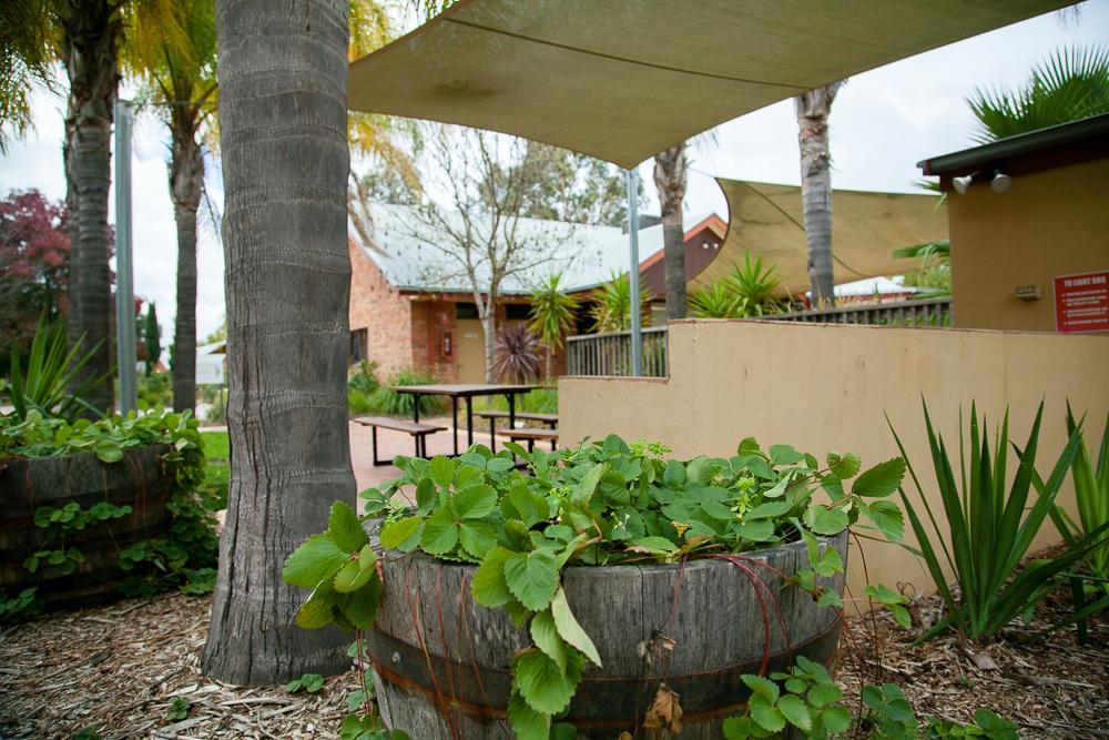 Hotel Perricoota Vines Retreat Moama Exteriér fotografie