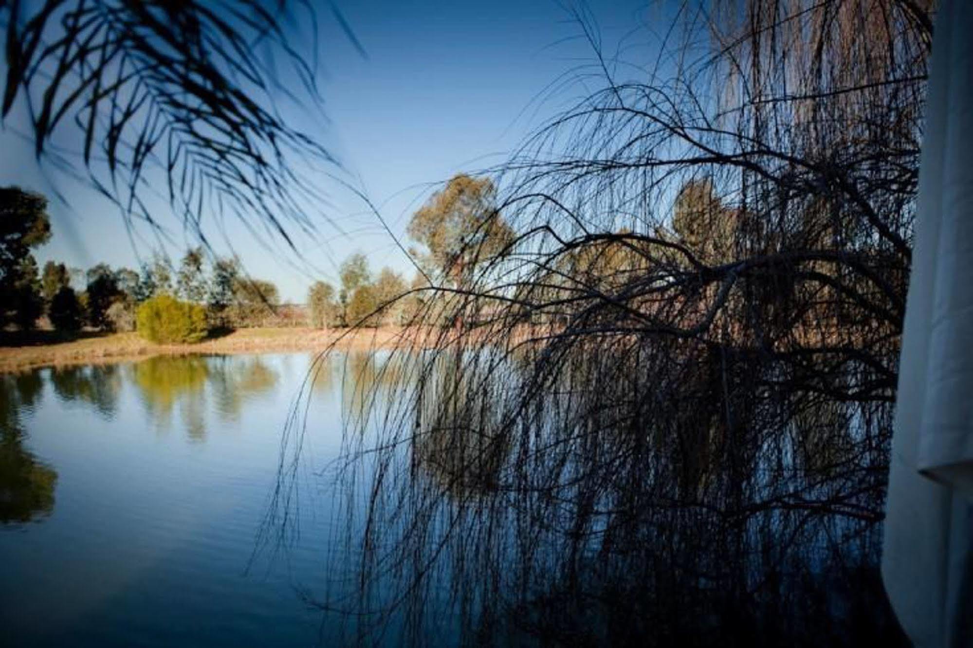 Hotel Perricoota Vines Retreat Moama Exteriér fotografie