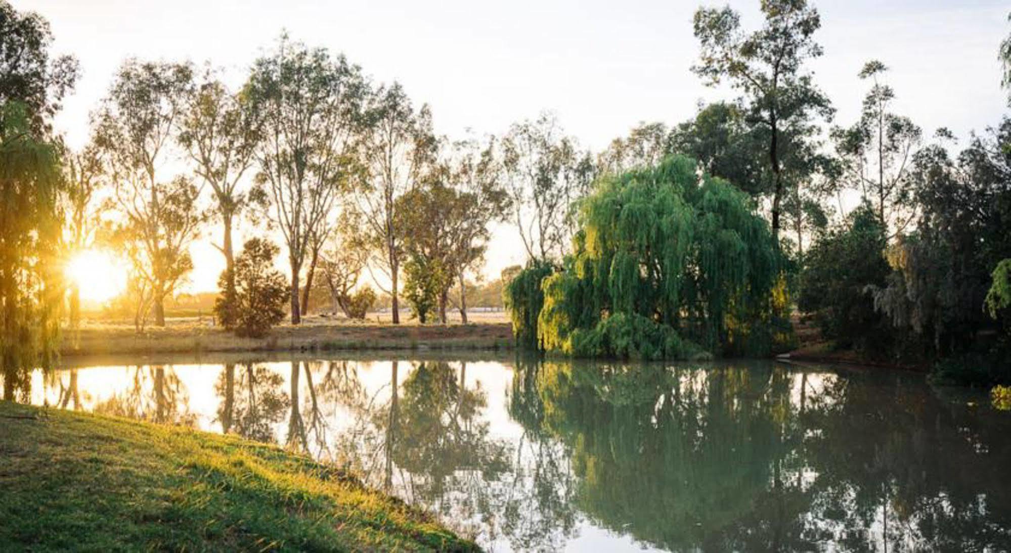 Hotel Perricoota Vines Retreat Moama Exteriér fotografie